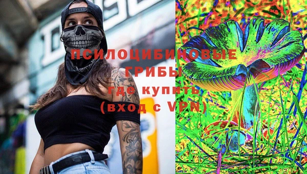 винт Алзамай