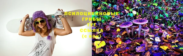 мдма Гвардейск