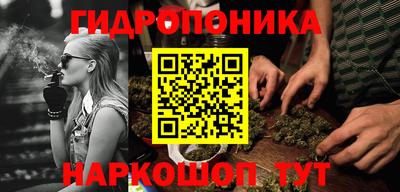 стаф Волгодонск