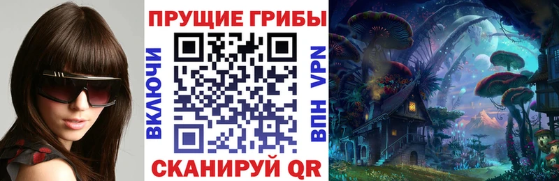 маркетплейс состав Астрахань Галлюциногенные грибы Psilocybine cubensis