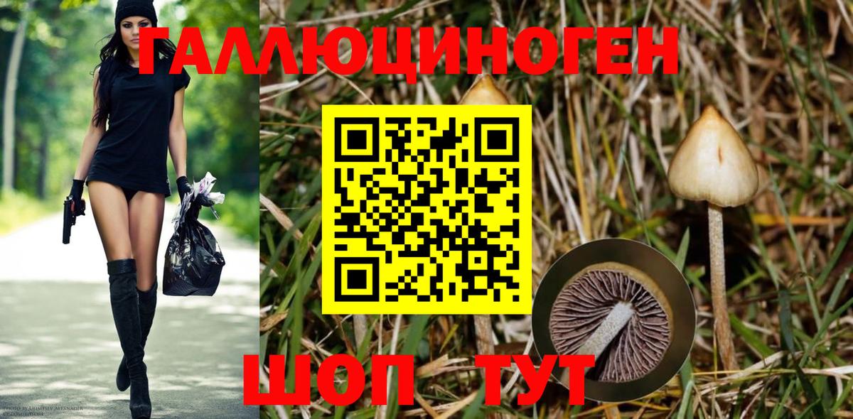 Галлюциногенные грибы Cubensis Астрахань