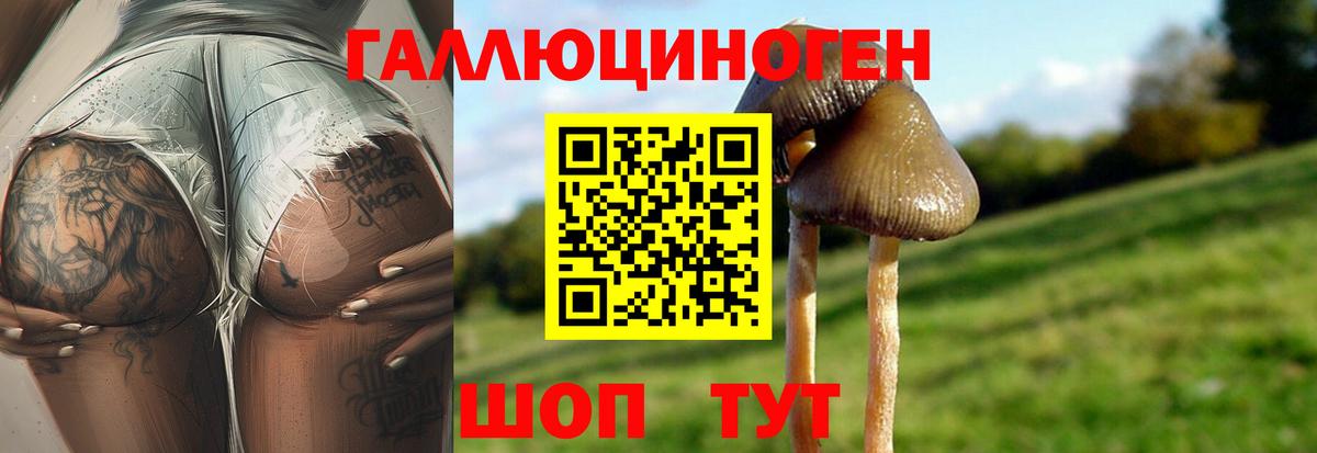 Псилоцибиновые грибы GOLDEN TEACHER  Вход с VPN  Астрахань 